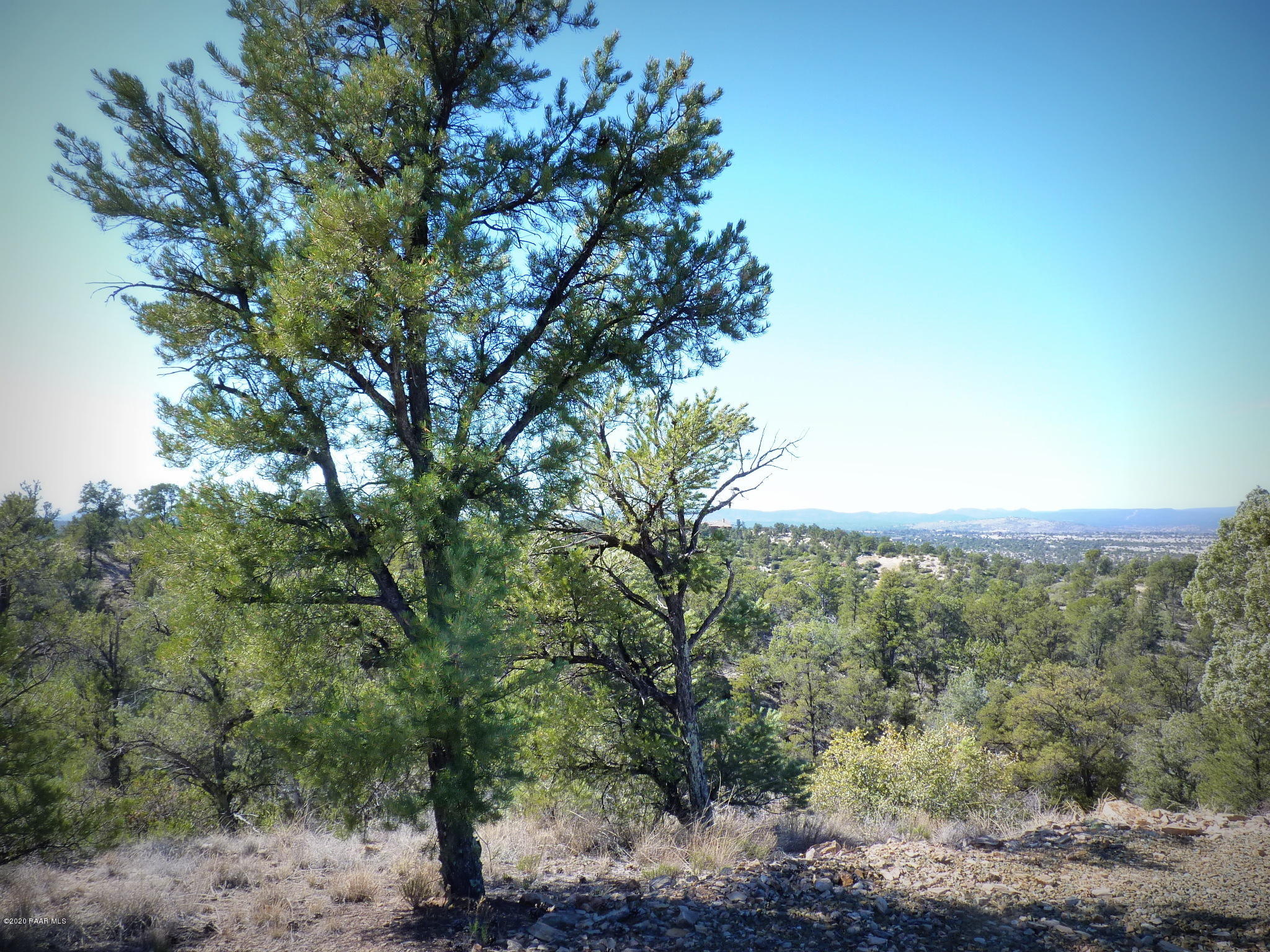 12885 Spiral Dancer Trail Prescott, AZ 86305 - Photo 24 of 36 P1470277