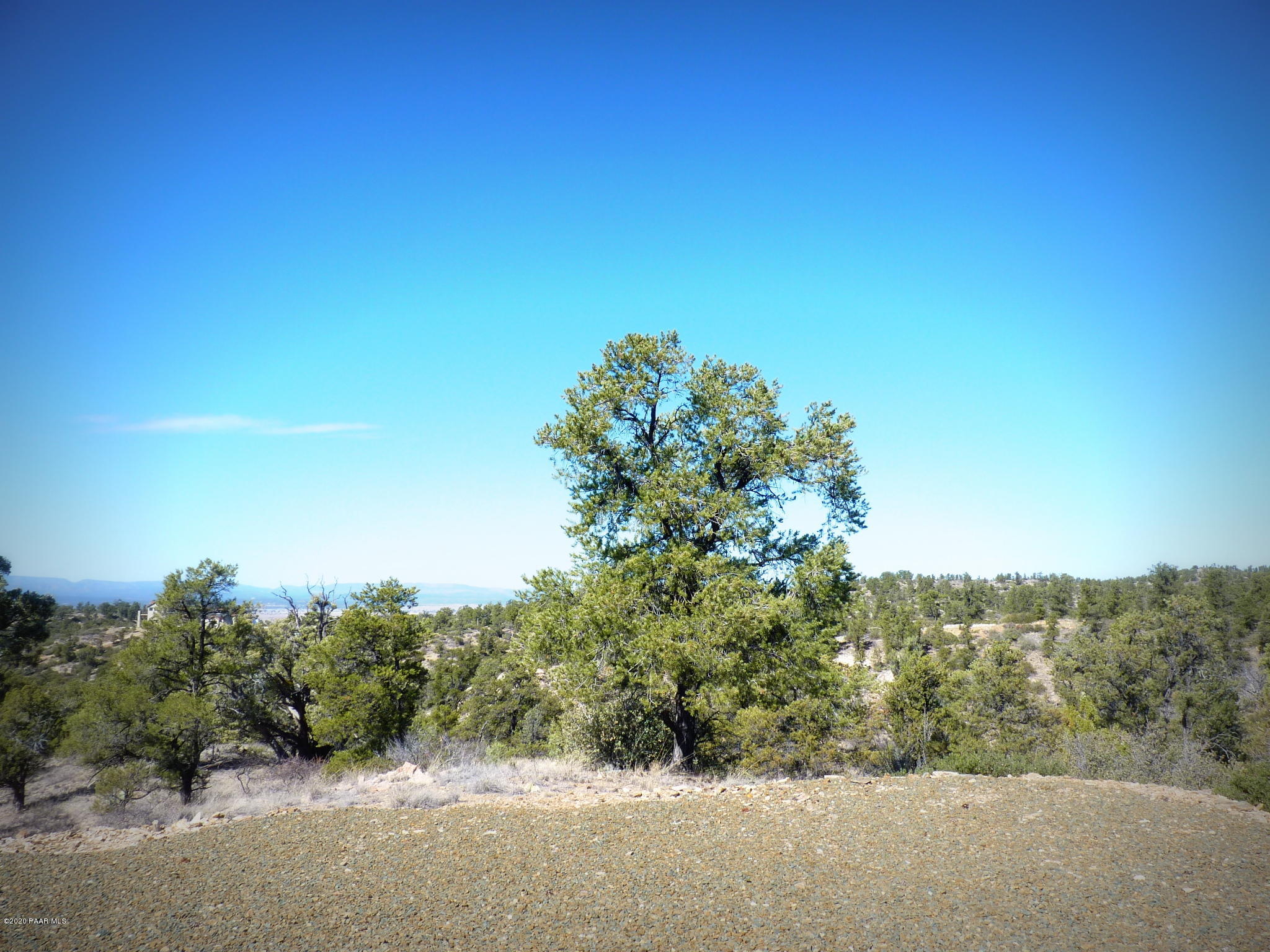 12885 Spiral Dancer Trail Prescott, AZ 86305 - Photo 8 of 36 P1470261