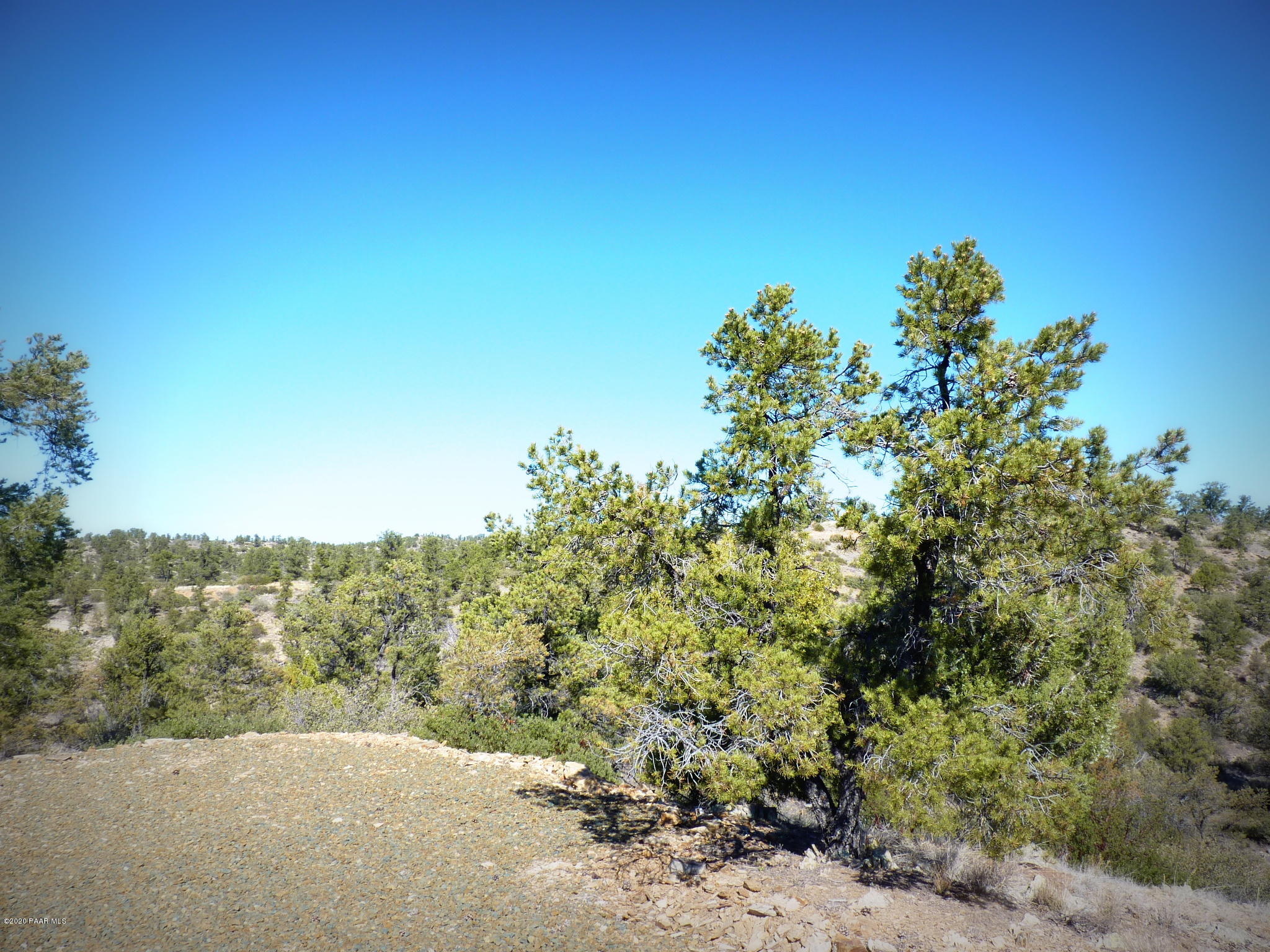12885 Spiral Dancer Trail Prescott, AZ 86305 - Photo 10 of 36 P1470263