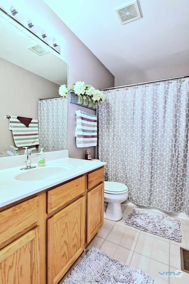 201 Grand Ridge Road St. Charles, IL 60175 - Photo 18 of 20 a bathroom with a granite countertop sink a toilet and a shower