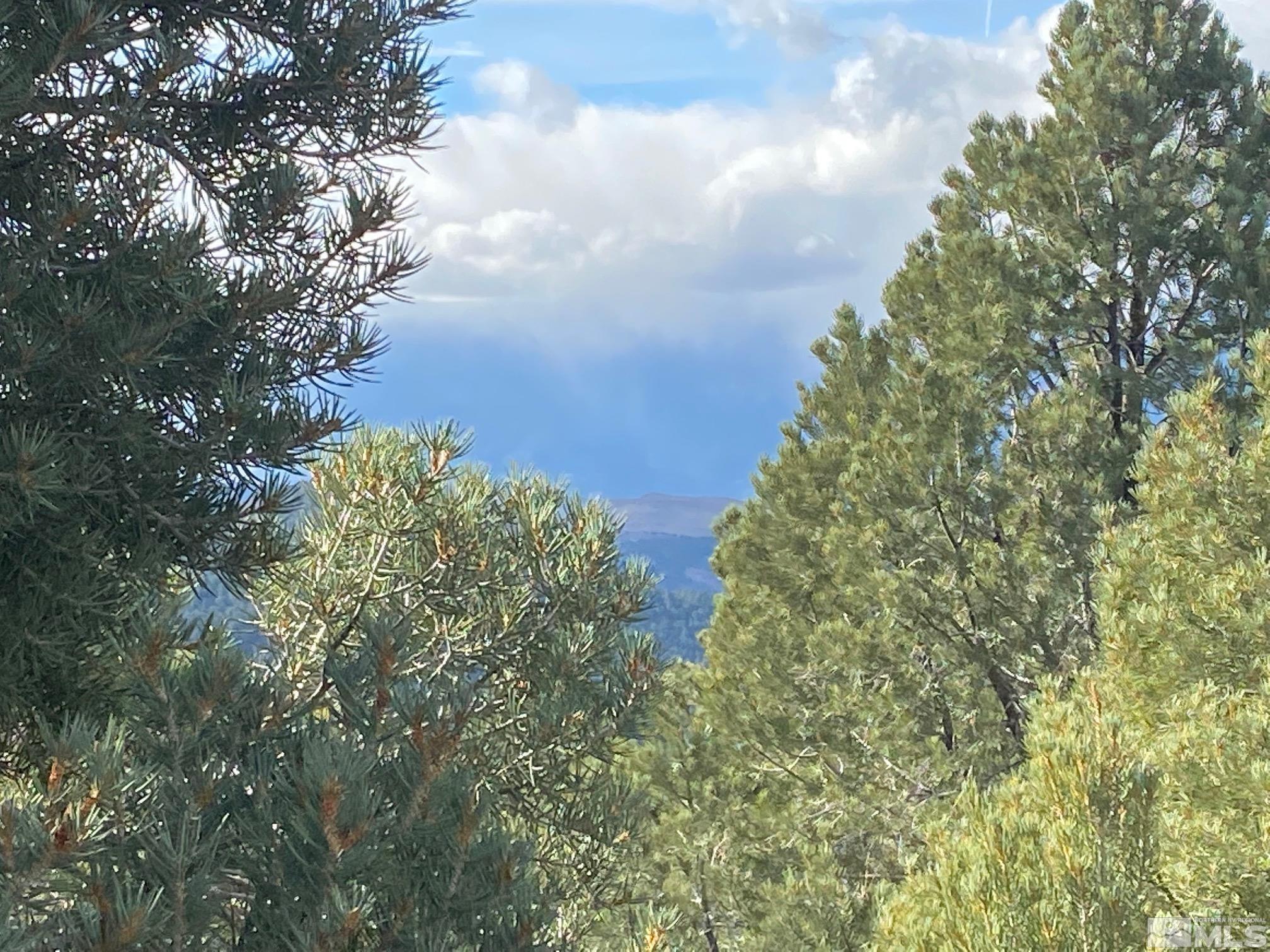 21231 Highland Road, Unit 18 Reno, NV 89521 - Photo 3 of 6