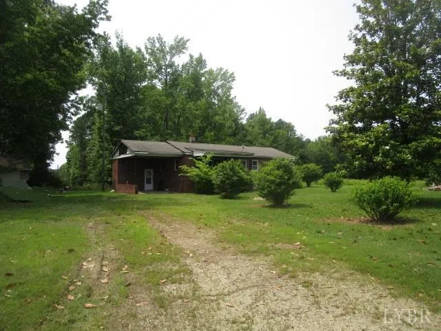 a view of a big yard with plants and large trees