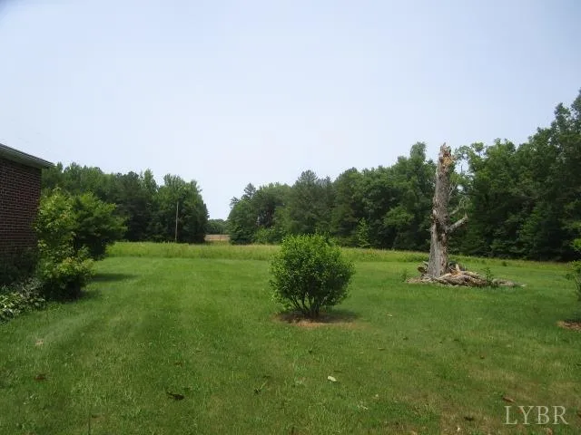 a big yard with lots of green space and trampoline