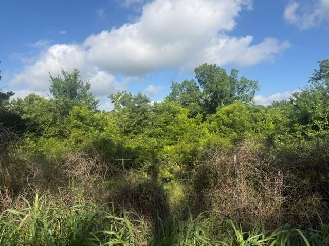 Tbd North 4230 Road Hugo, OK 74743 - Photo 8 of 19