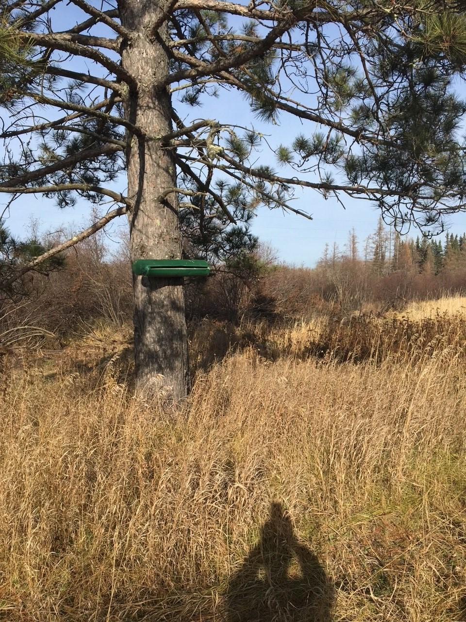 6501 Highway 169 Tower, MN 55790 - Photo 10 of 11