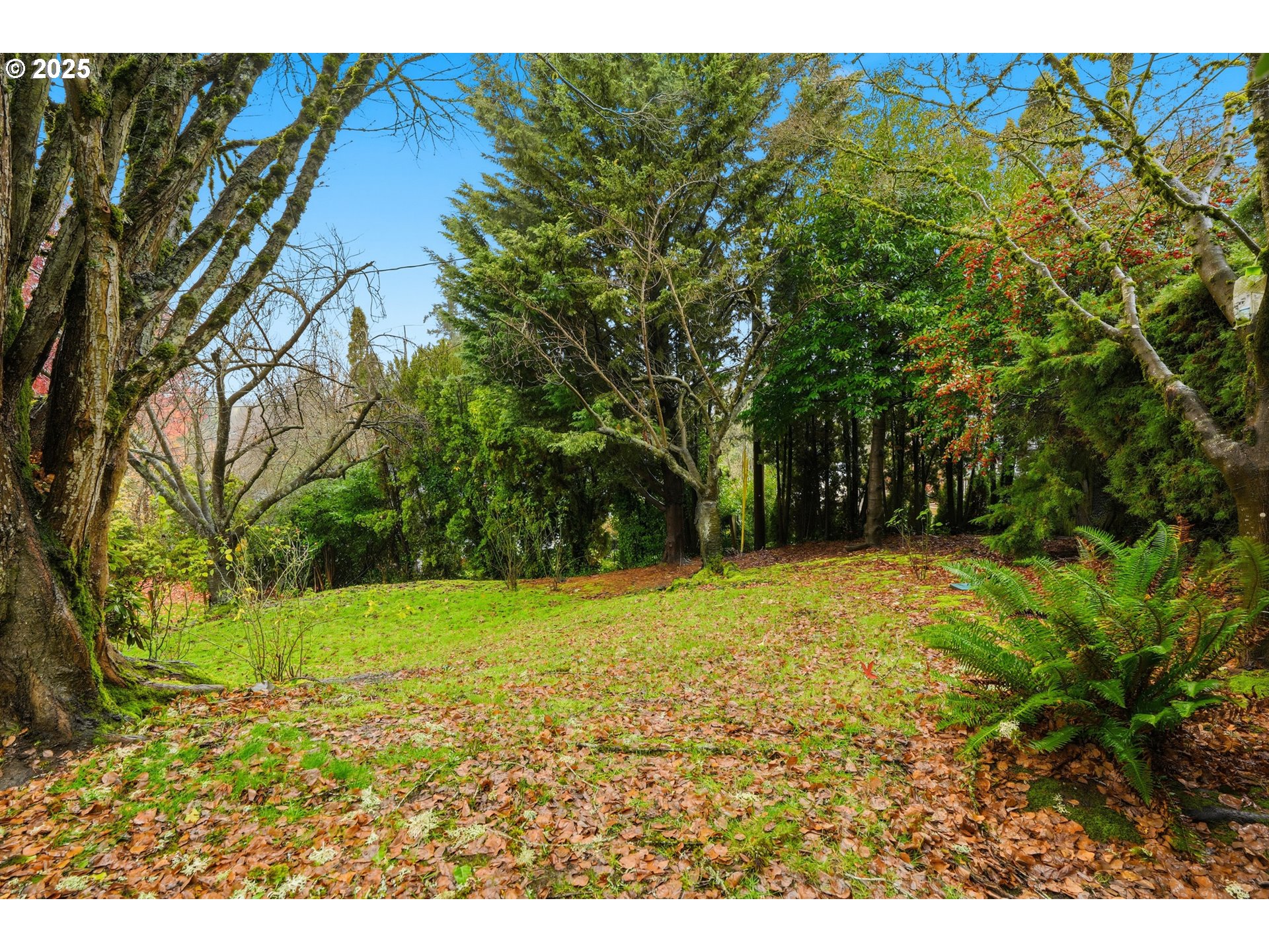 5555 Southwest Dover Court Portland, OR 97225 - Photo 37 of 38