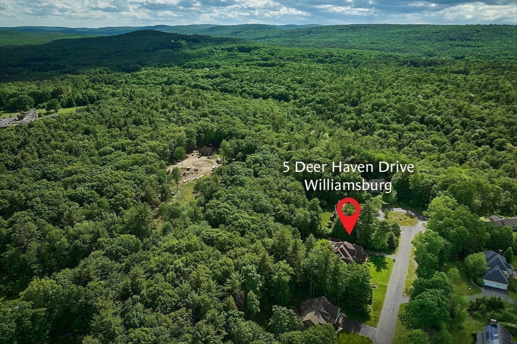 5 Deer Haven Drive Williamsburg, MA 01039 - Photo 42 of 42 a view of a field with plants and trees