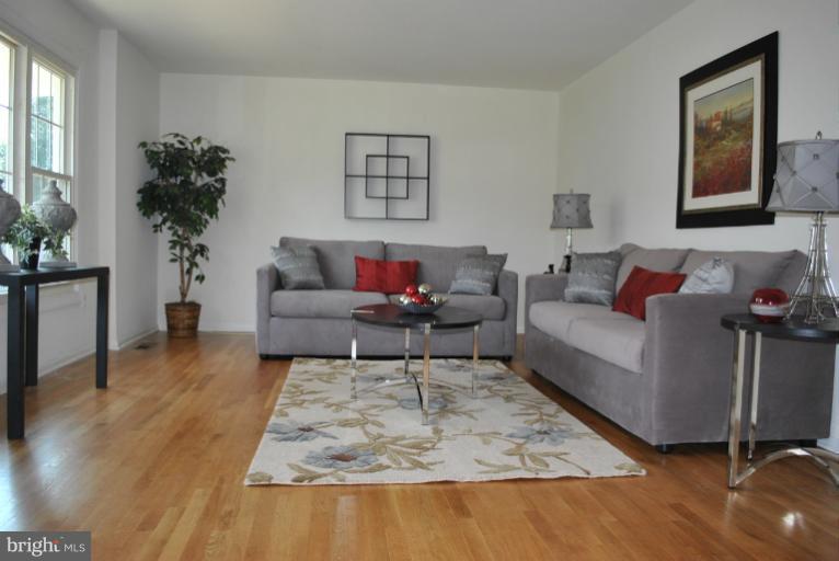 19516 Olney Mill Road Olney, MD 20832 - Photo 17 of 29 a living room with furniture and a potted plant