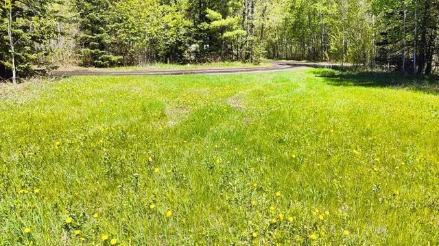 $115,500 | 80012 Conifer Crest, Tower, MN 55790