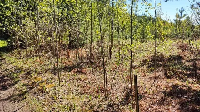 $115,500 | 80012 Conifer Crest, Tower, MN 55790