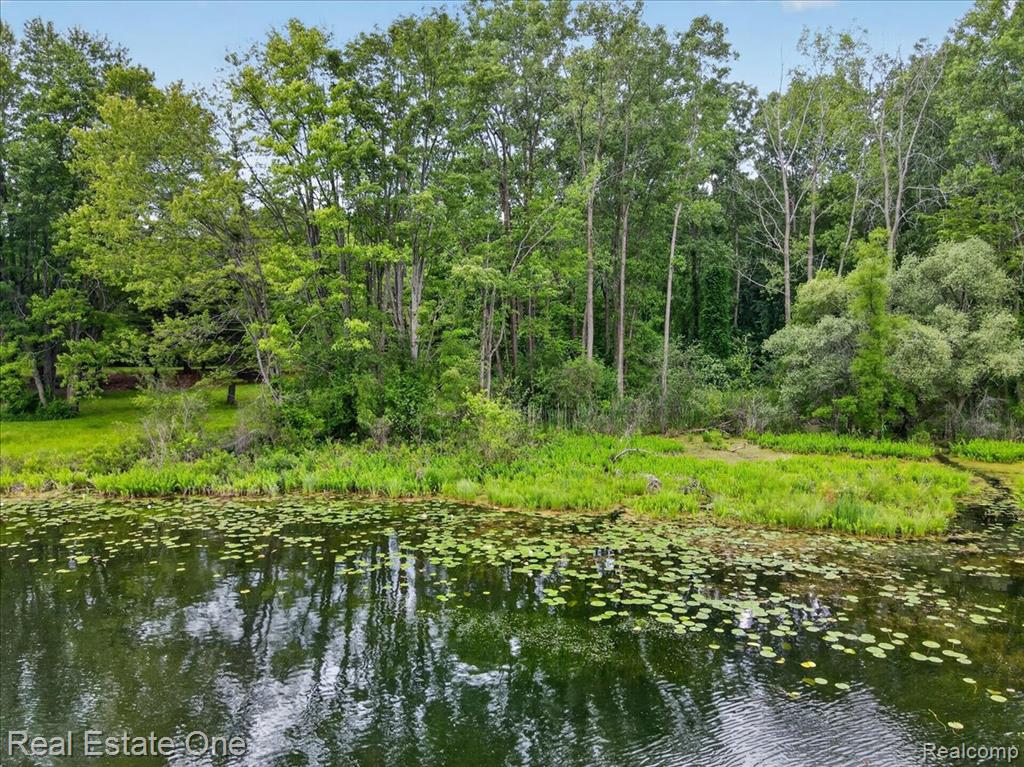 425 Courtney Road Leonard, MI 48367 - Photo 85 of 89 Gallery Image 85