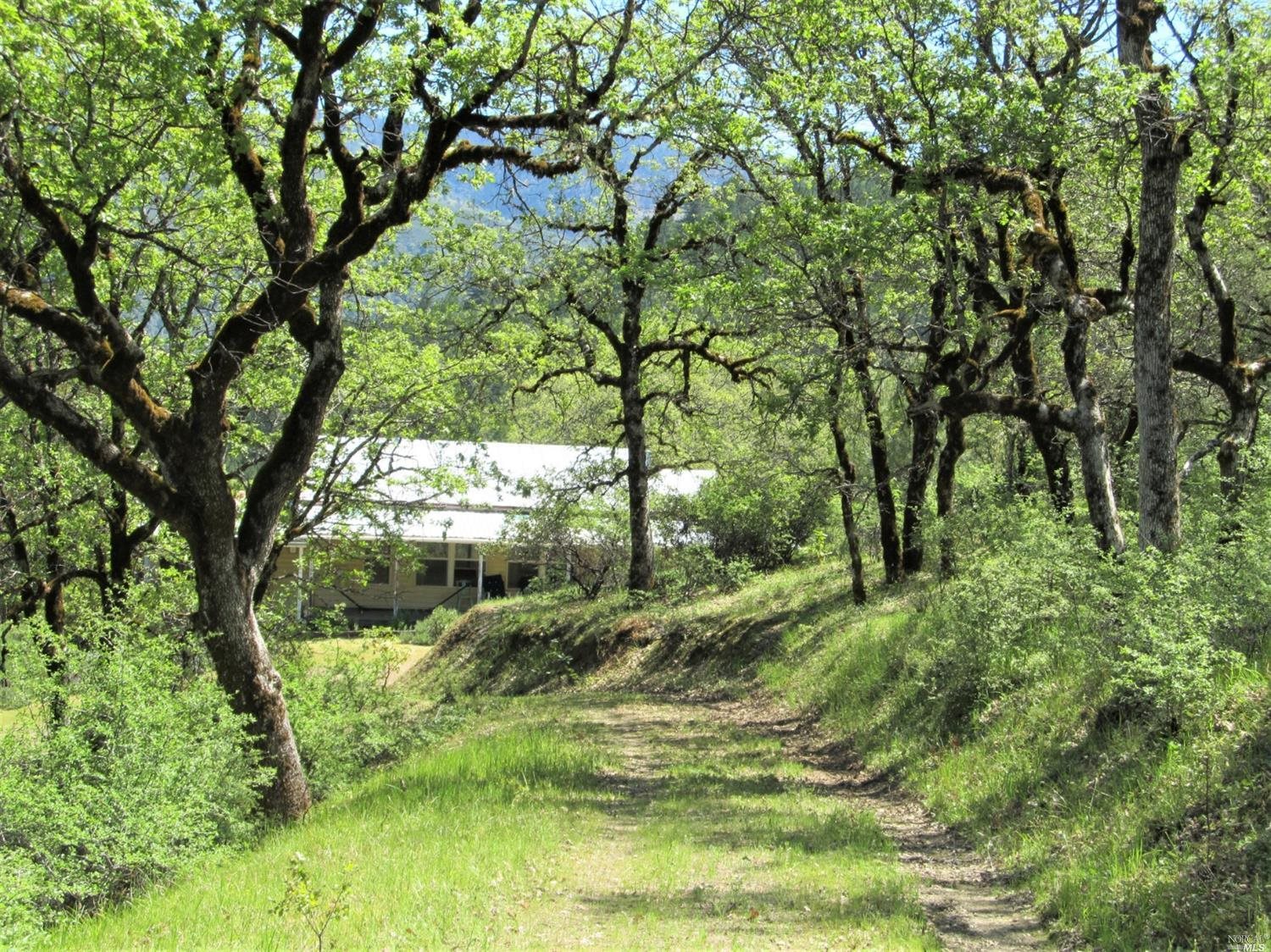 3100 Eel River Ranch Road Covelo, CA 95428 - Photo 1 of 1 a view of outdoor space and yard