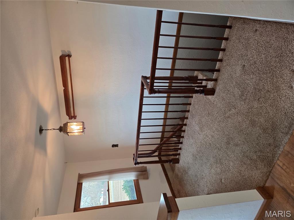 812 Butler Street Tilden, IL 62292 - Photo 22 of 48