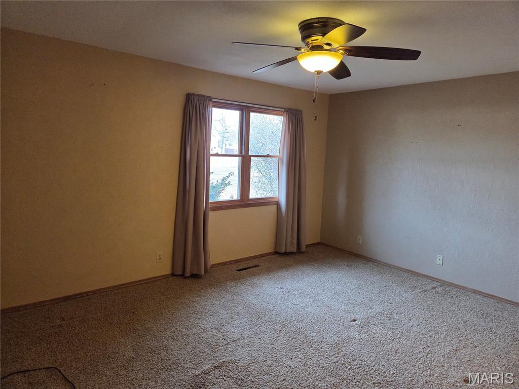 812 Butler Street Tilden, IL 62292 - Photo 24 of 48