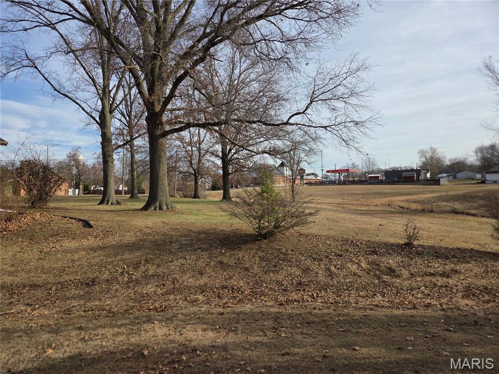 812 Butler Street Tilden, IL 62292 - Photo 9 of 48