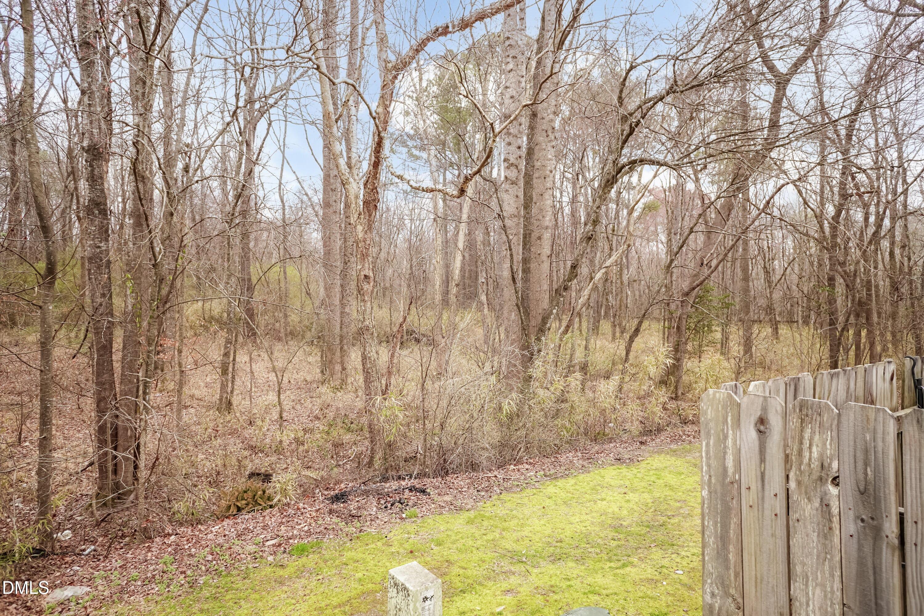 2213 Violet Bluff Court Raleigh, NC 27610 - Photo 24 of 26 Back Yard 02