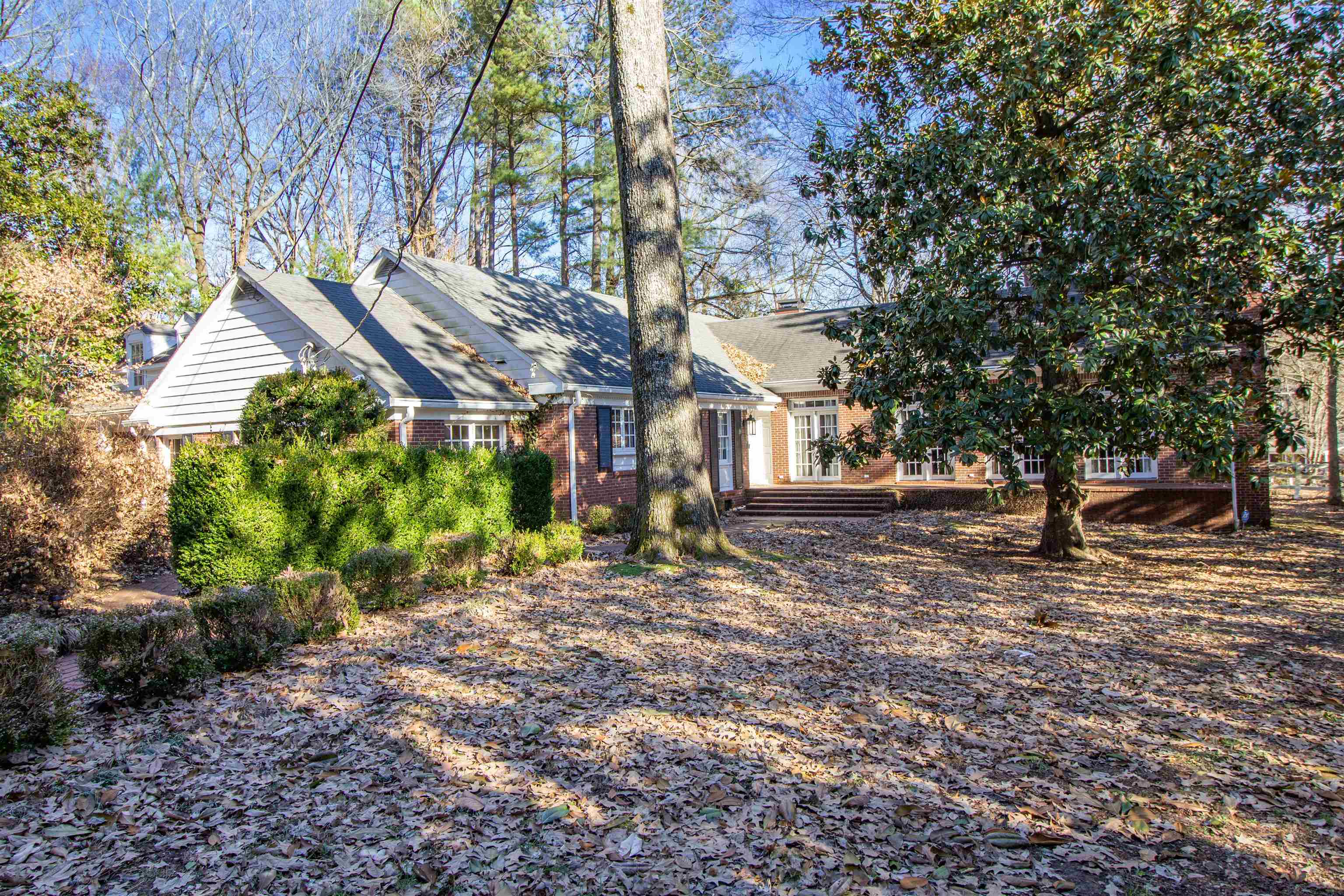 283 Church Street Ripley, TN 38063 - Photo 35 of 36 a view of a yard with plants and trees