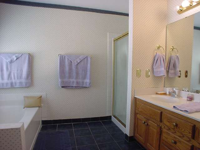 129 Squires Creek Road Simpsonville, SC 29681 - Photo 7 of 9 Gallery Image 7
