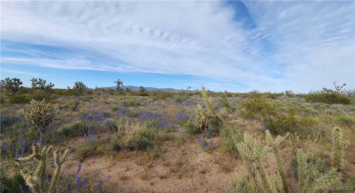 2076 South Cheyenne (well-septic) Road Yucca, AZ 86438 - Photo 11 of 24