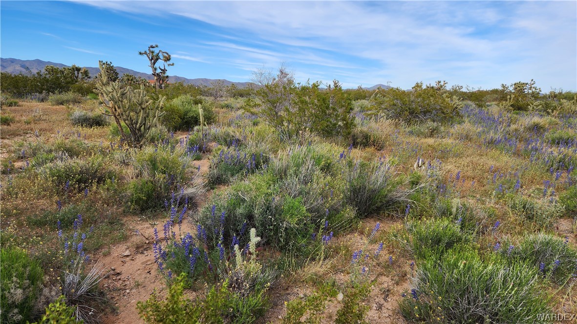 2076 South Cheyenne (well-septic) Road Yucca, AZ 86438 - Photo 14 of 24