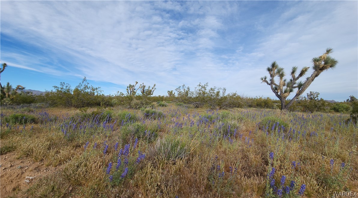 2076 South Cheyenne (well-septic) Road Yucca, AZ 86438 - Photo 20 of 24