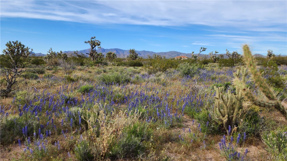 2076 South Cheyenne (well-septic) Road Yucca, AZ 86438 - Photo 2 of 24