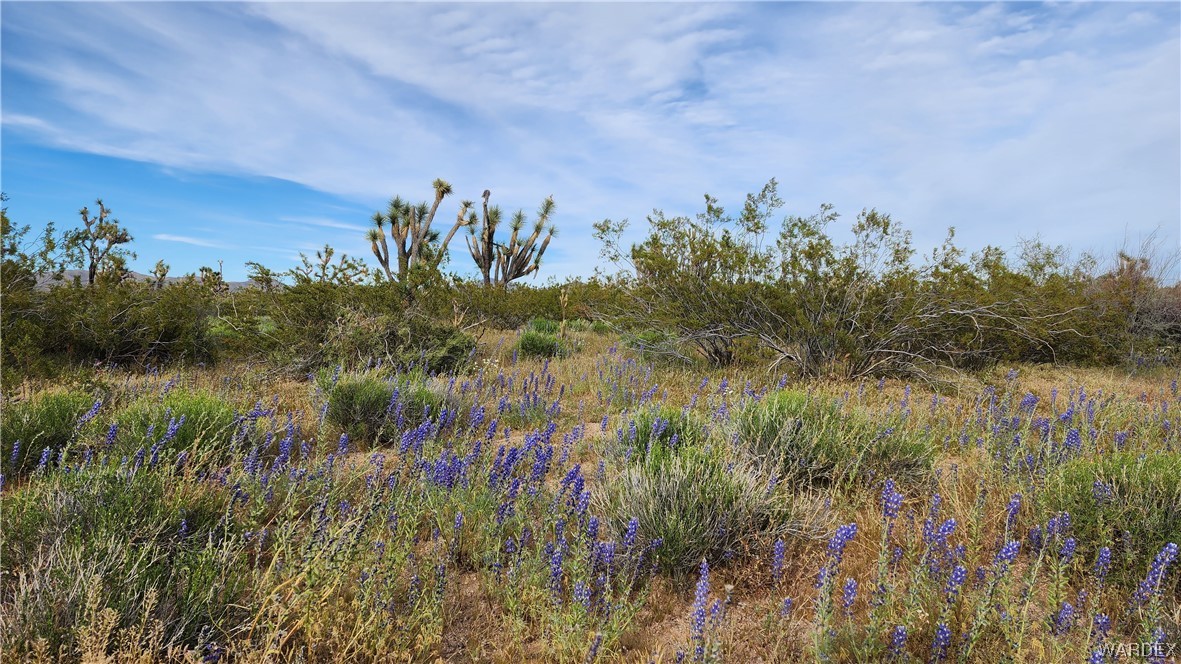2076 South Cheyenne (well-septic) Road Yucca, AZ 86438 - Photo 21 of 24