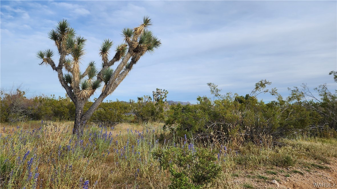 2076 South Cheyenne (well-septic) Road Yucca, AZ 86438 - Photo 22 of 24