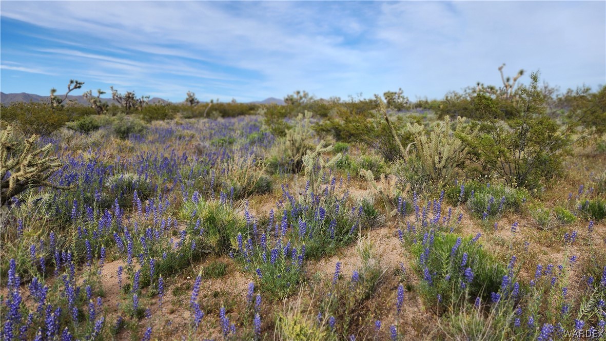 2076 South Cheyenne (well-septic) Road Yucca, AZ 86438 - Photo 24 of 24