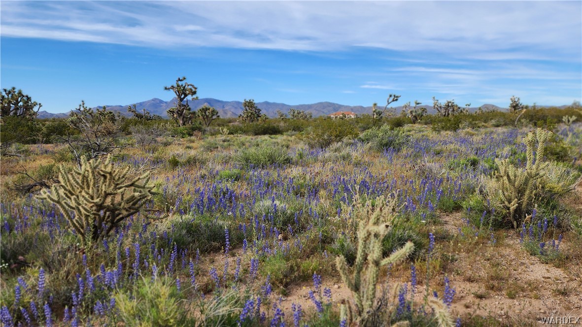2076 South Cheyenne (well-septic) Road Yucca, AZ 86438 - Photo 8 of 24