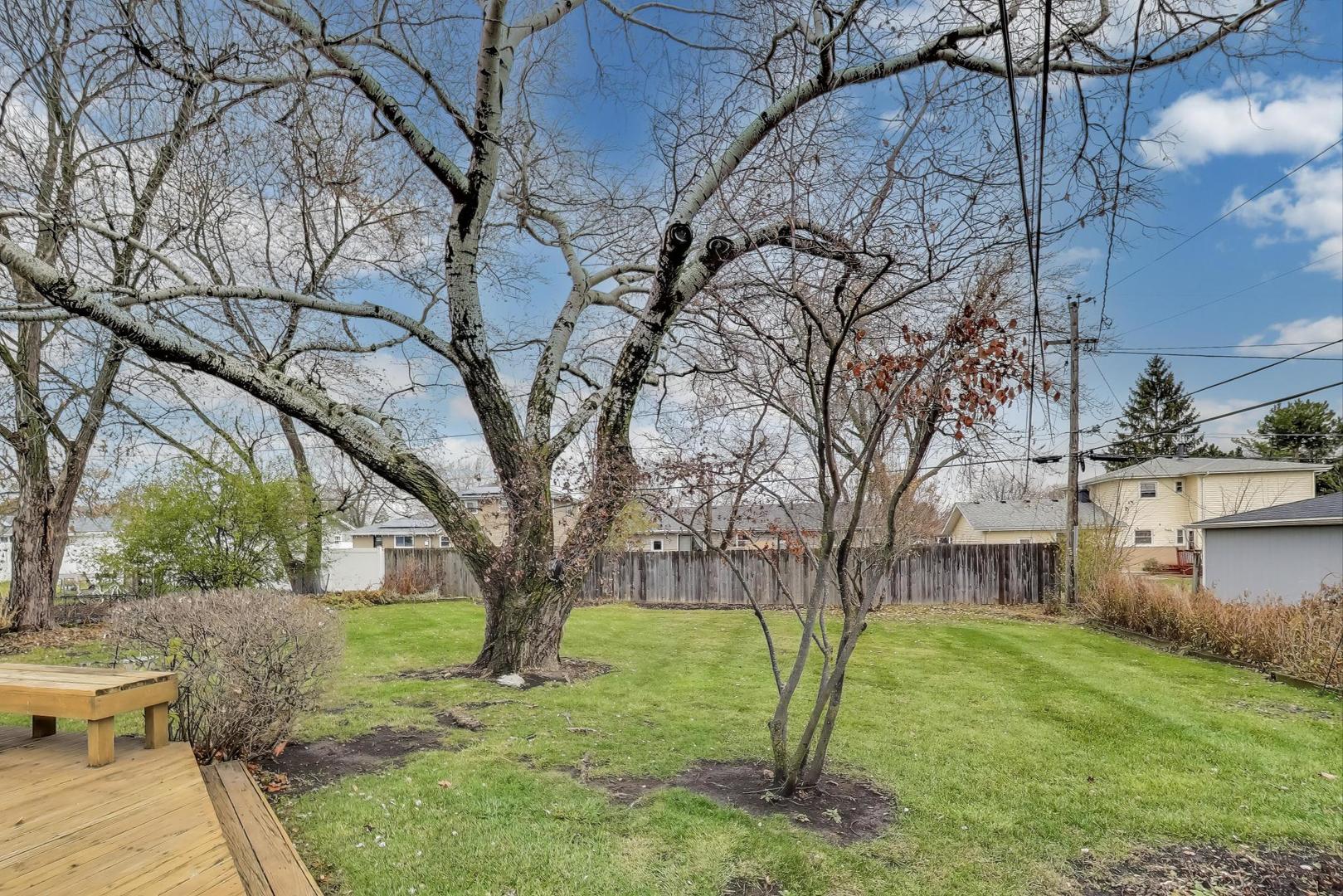 540 Newark Lane Hoffman Estates, IL 60169 - Photo 22 of 23 a view of a yard with plants and a large tree