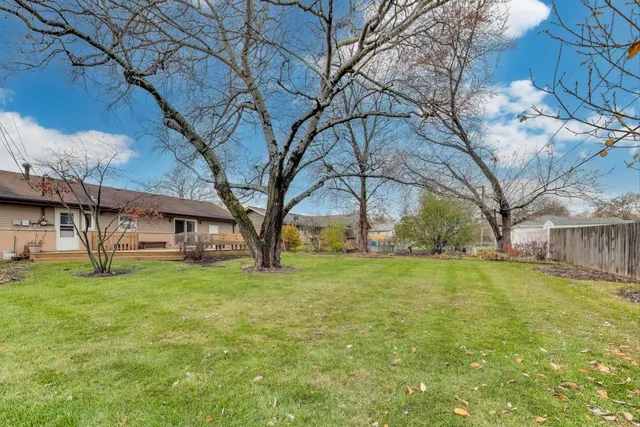 a view of a yard with a house and a large tree