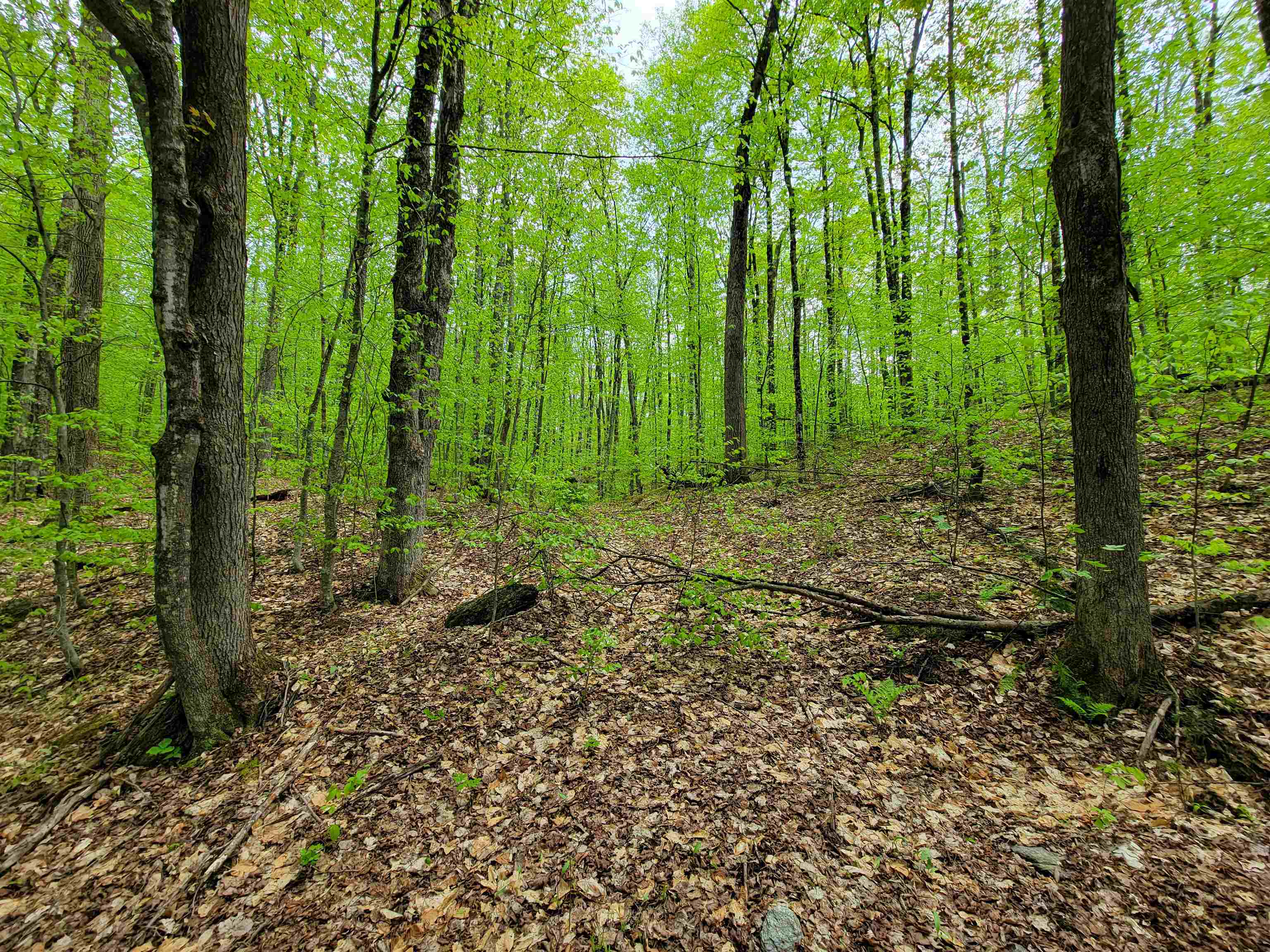 660 Brookview Lane Wolcott, VT 05680 - Photo 46 of 60
