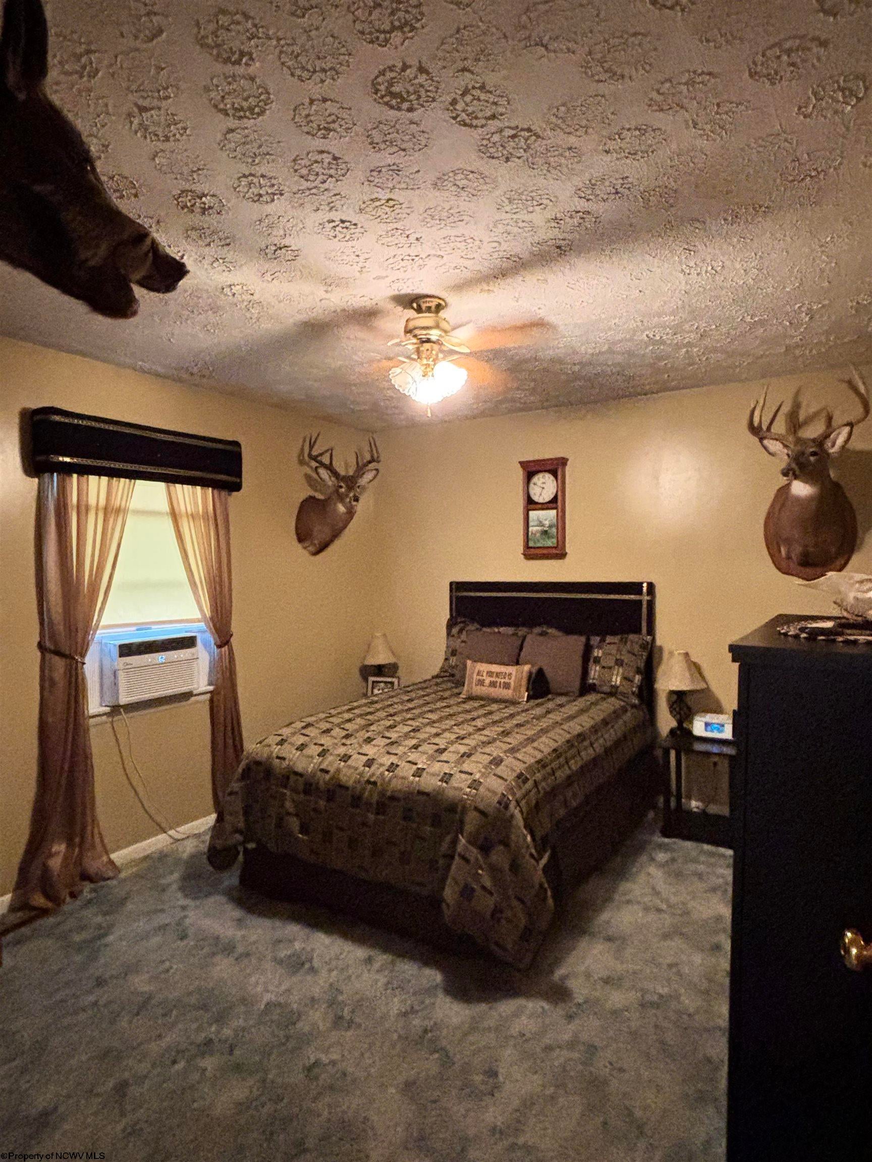 381 Midway Road Belington, WV 26250 - Photo 9 of 44 Gallery Image 9
