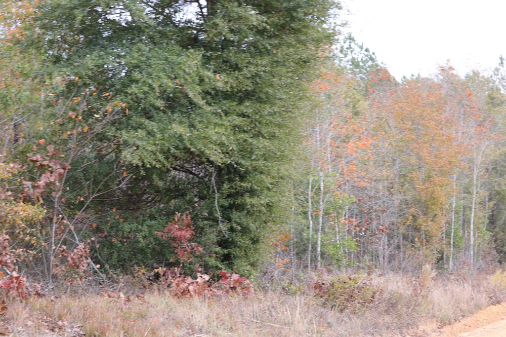 0 Middle Ground Road Keysville, GA 30816 - Photo 4 of 9