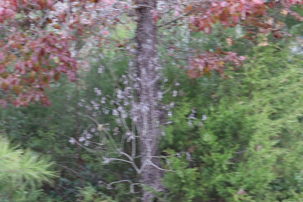 0 Middle Ground Road Keysville, GA 30816 - Photo 7 of 9