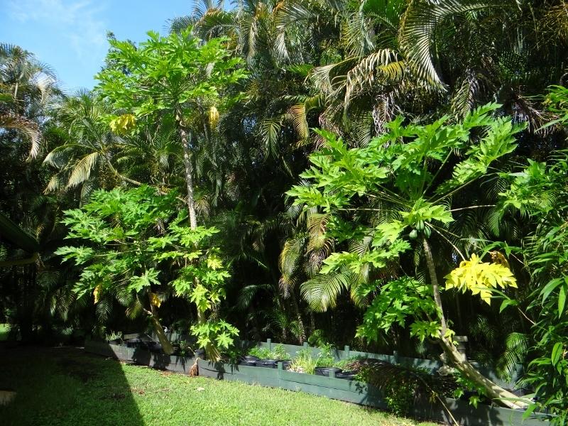 12789 Compton Road Loxahatchee, FL 33470 - Photo 39 of 54 DSC05014 (800x600) (800x600)