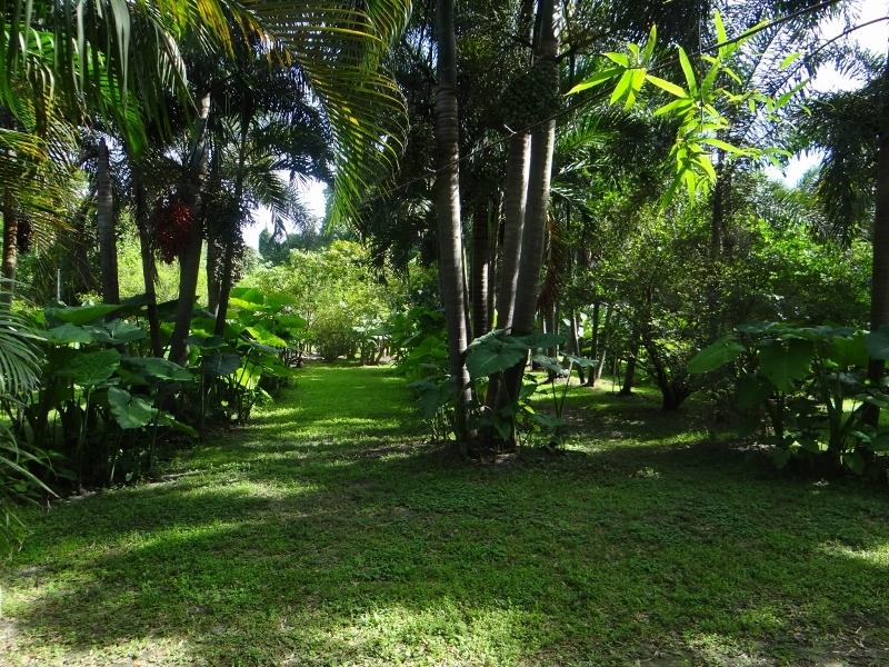 12789 Compton Road Loxahatchee, FL 33470 - Photo 40 of 54 DSC05018 (800x600) (800x600)