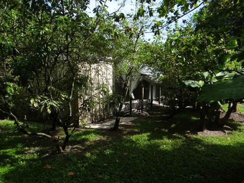 12789 Compton Road Loxahatchee, FL 33470 - Photo 42 of 54 DSC05021 (800x600) (800x600)