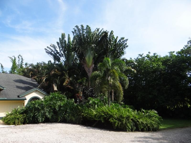 12789 Compton Road Loxahatchee, FL 33470 - Photo 54 of 54 DSC05047 (800x600)