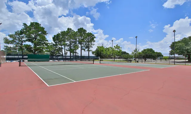 a view of a lake with boats and palm trees