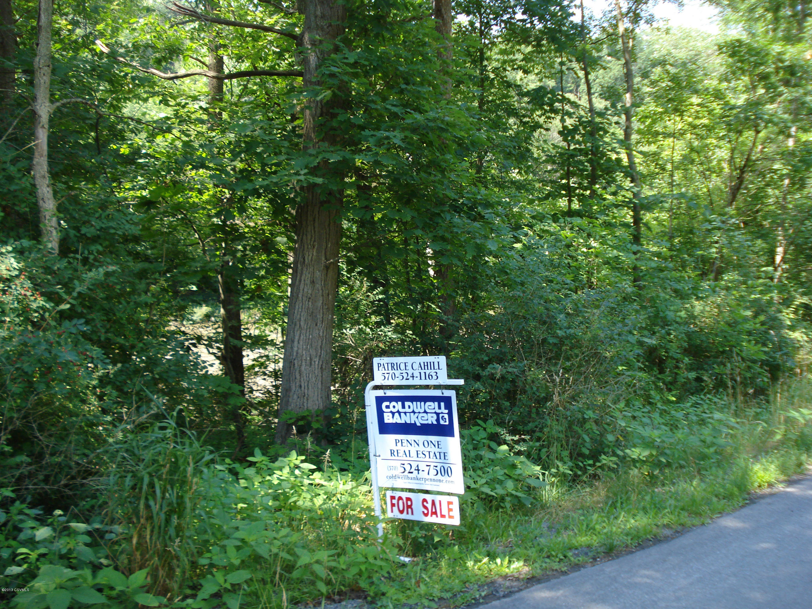 Wildwood Road Mifflinburg, PA 17844 - Photo 11 of 11 Gallery Image 11