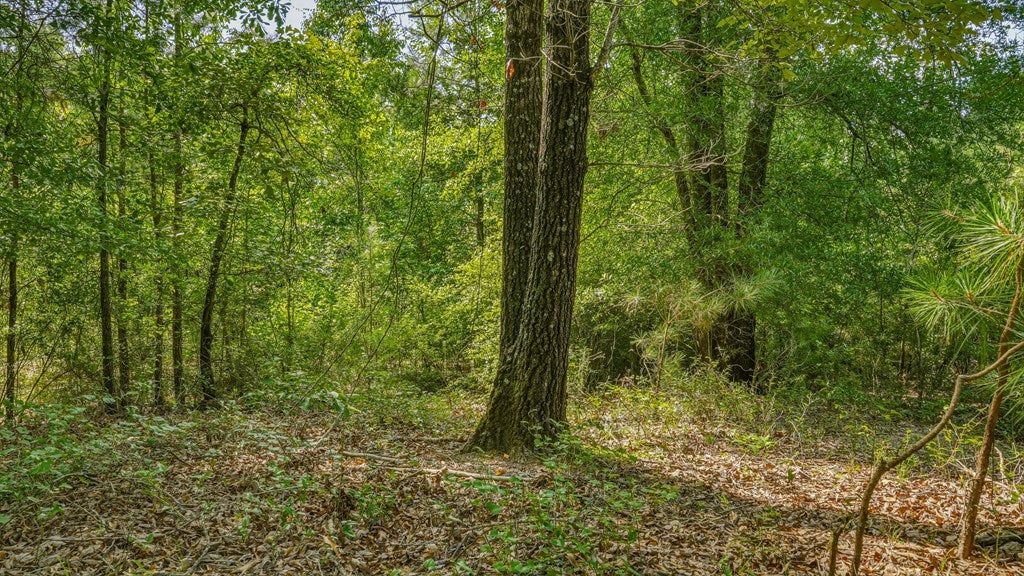 0 Harry Priddy Road Americus, GA 31719 - Photo 8 of 36 Gallery Image 8