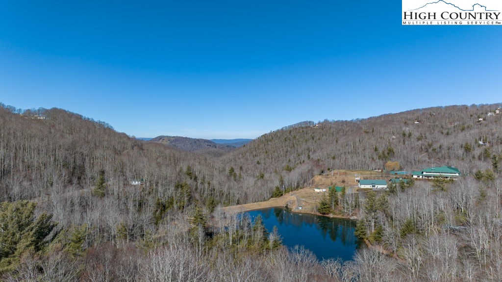 1465 Pine Ridge Road Beech Mountain, NC 28604 - Photo 1 of 20 a view of a houses with a lush green forest