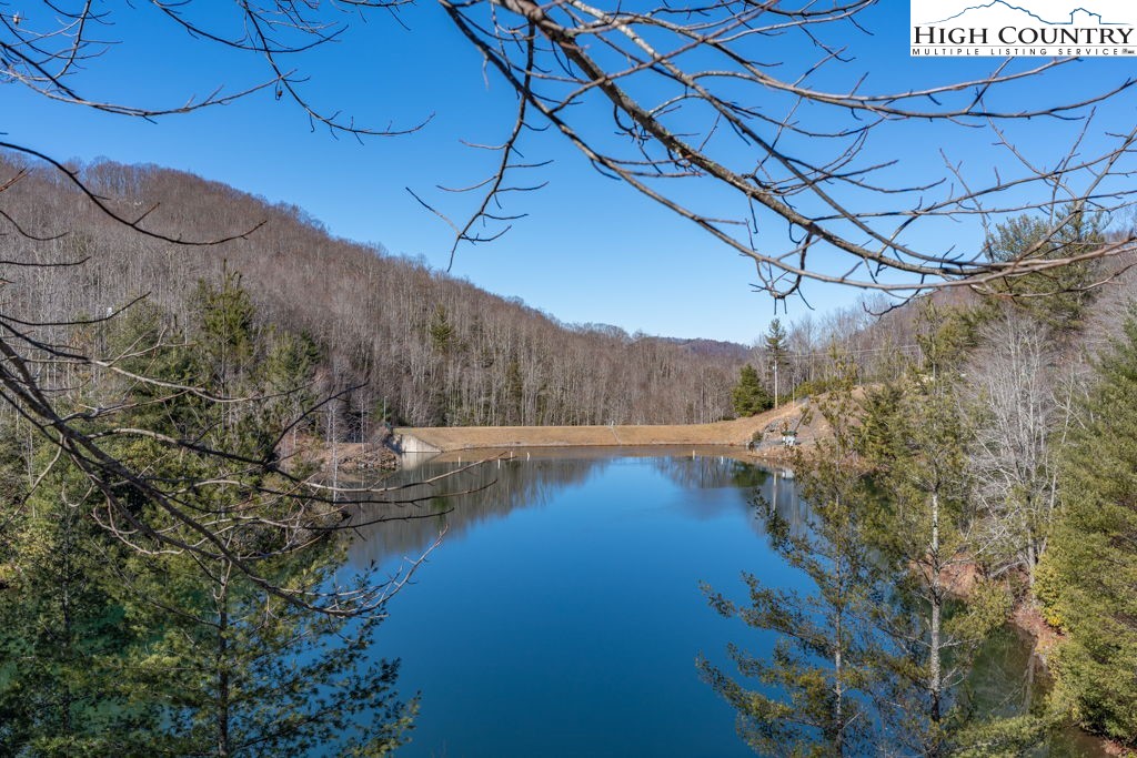1465 Pine Ridge Road Beech Mountain, NC 28604 - Photo 11 of 20 a view of a yard
