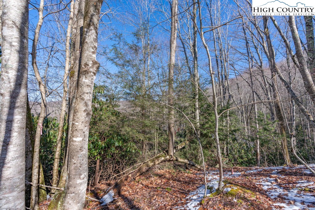 1465 Pine Ridge Road Beech Mountain, NC 28604 - Photo 13 of 20 a view of a forest