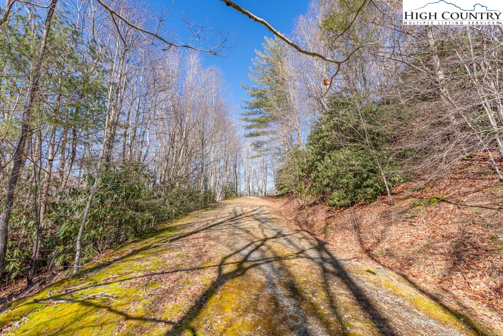 1465 Pine Ridge Road Beech Mountain, NC 28604 - Photo 14 of 20 a view of a backyard of the house