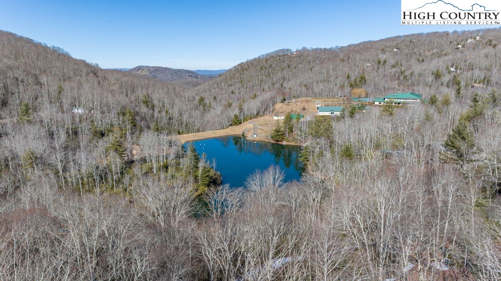 1465 Pine Ridge Road Beech Mountain, NC 28604 - Photo 15 of 20 a view of a dry yard