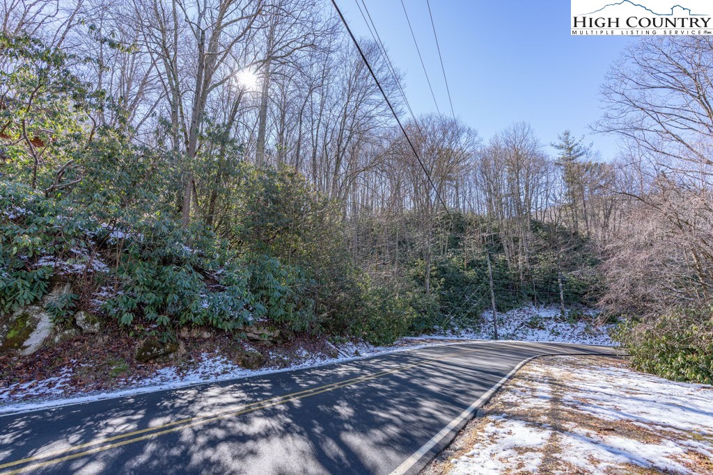 1465 Pine Ridge Road Beech Mountain, NC 28604 - Photo 16 of 20 a view of a forest filled with trees