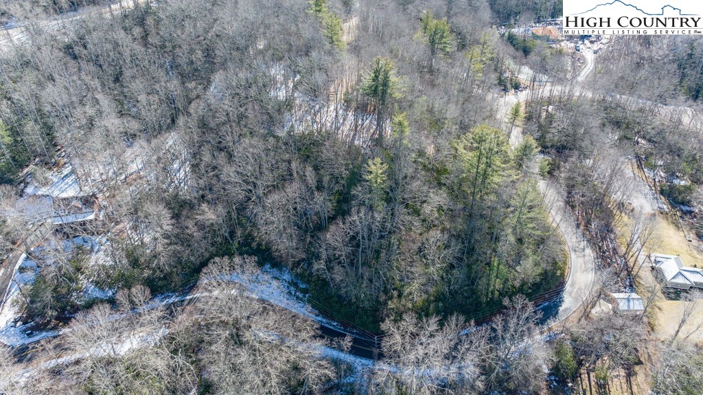 1465 Pine Ridge Road Beech Mountain, NC 28604 - Photo 18 of 20 a view of a forest with large trees